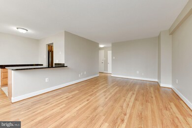 Mica Condominiums unit 204, Silver Spring, MD 20910 - photo 6