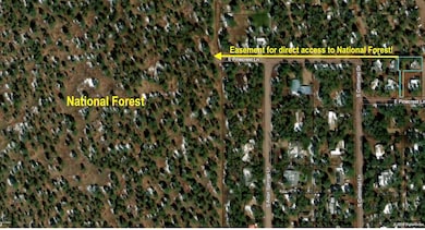 Pinecrest aerial
