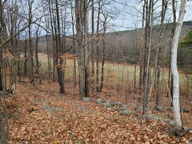 0 Rte 9 & Poor Rd unit 4838905, Chesterfield, NH 03466 - photo 6