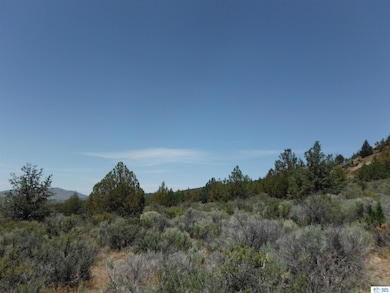 0 Tuledad Rd unit 202500229, Ravendale, CA 96123 - photo 7