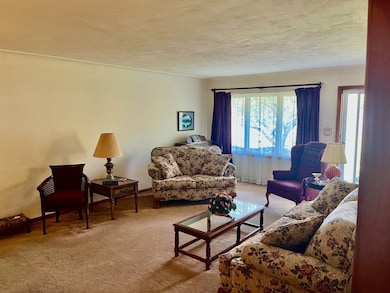 911 W Main St, Carmi, IL 62821 - photo 4