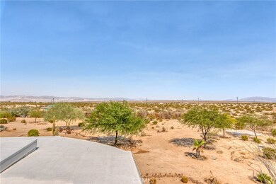 833 Copper Mountain Rd, Joshua Tree, CA 92252 - photo 7