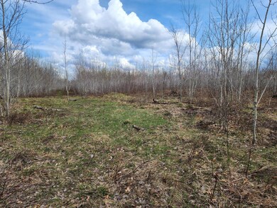 xxxx Lot 19 Wilderness Trail, Jackson Township, WI 54830 - photo 6