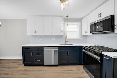 4322 S Keating Ave, Chicago, IL 60632 - photo 4