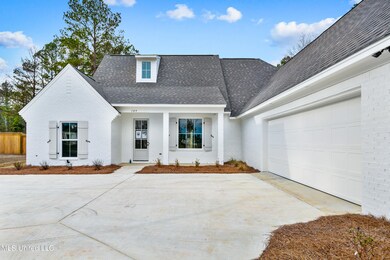 109 Herons Bay Cir, Madison, MS 39110 - photo 4