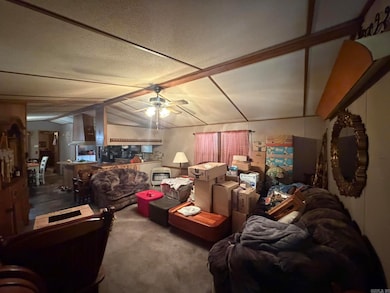 410 N Wilks St, Mc Rae, AR 72102 - photo 7