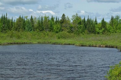 Maine Land for Sale in Ludlow Maine