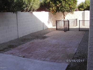 Backyard 1