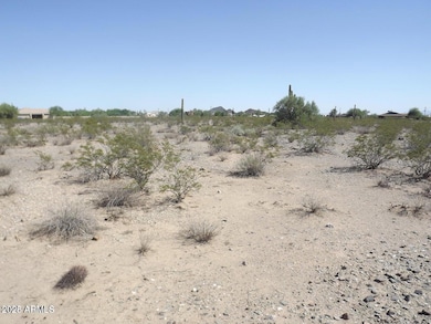 164XX W Dixeleta Dr unit 1, Surprise, AZ 85387 - photo 3