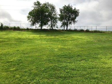 Backyard 3