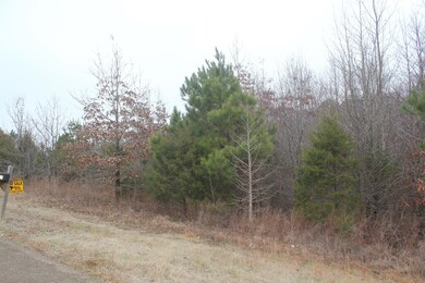 88 Bennett Cir, Byhalia, MS 38611 - photo 7