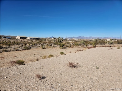 1045 Echo Dr, Meadview, AZ 86444 - photo 5