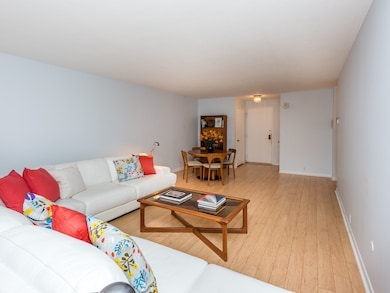 Imperial Towers unit 112, Chestnut Hill, MA 02467 - photo 6