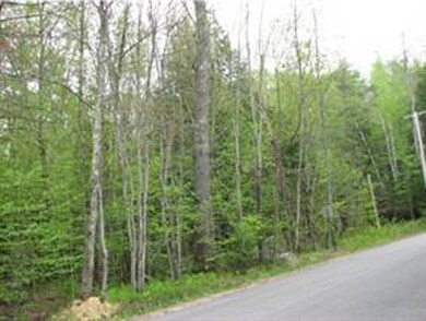 24 & 25 Hemp Hill Rd, Bristol, NH 03222 - photo 4