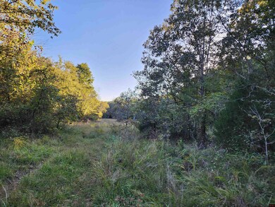 1071 Pleasant Run Rd, Mammoth Spring, AR 72554 - photo 7