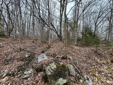 unnamed (1)