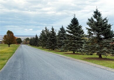 A tree-lined drive along Academy Road creates a clean, welcoming entrance to the property.