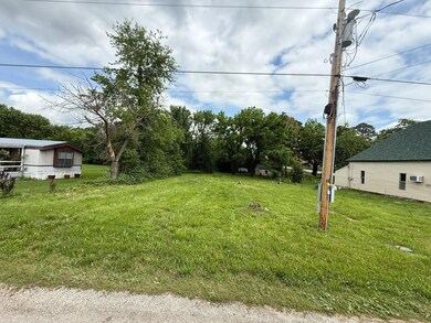 Vacant Lot in the Ozarks3
