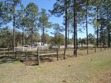 19000 SW 44th St, Dunnellon, FL 34432 - photo 3