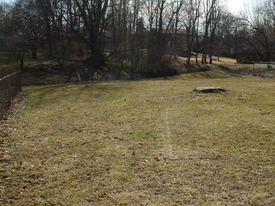 lethborough back yard