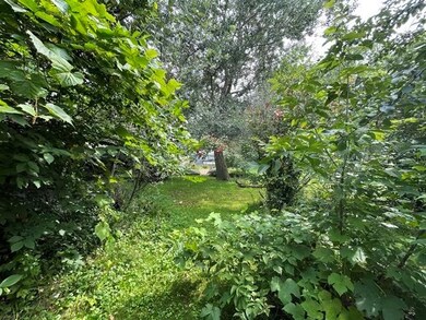 217 E Central St, Loyal, WI 54446 - photo 6