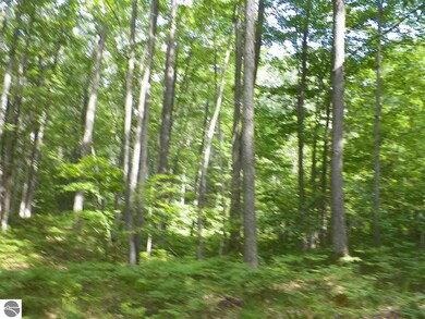 NA Canton Trail, West Branch, MI 48661 - photo 3