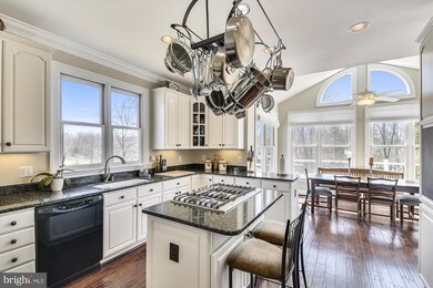 23137 Tail Race Rd, Aldie, VA 20105 - photo 7