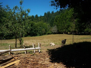 Bales 008
