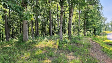 lot from Road