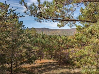 00 River Park Ln unit 27, White Oak, NC 28756 - photo 4