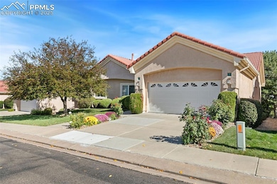 2768 La Strada Grande Heights, Colorado Springs, CO 80906 - photo 2