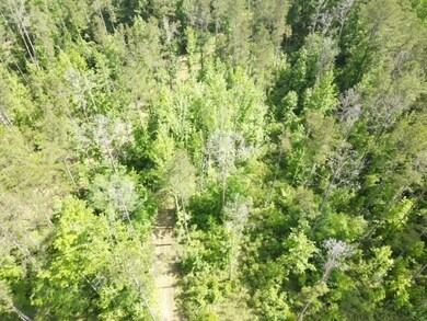 5146 New Hope Rd, Georgetown, MS 39078 - photo 3