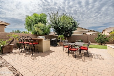 Backyard 1