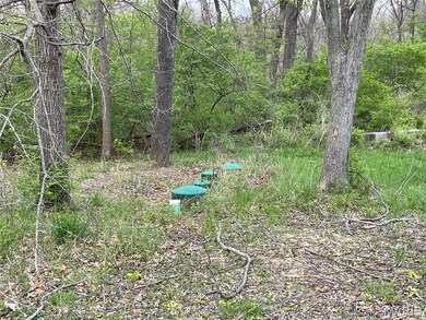 14145 Old Jamestown Rd, Florissant, MO 63033 - photo 6