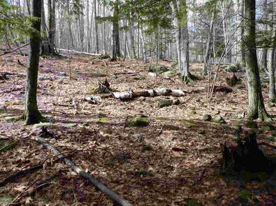 115 Rattlesnake Island, Alton, NH 03810 - photo 7