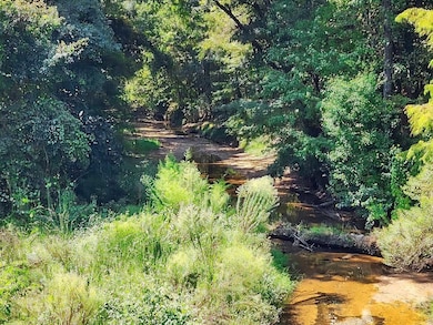 140 Elderberry Ln, Cairo, GA 39828 - photo 4