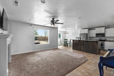 179 S 435 W Ivins UT 84738 USA-large-005