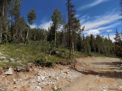 159 Lime Bluff Dr, Pitkin, CO 81241 - photo 5