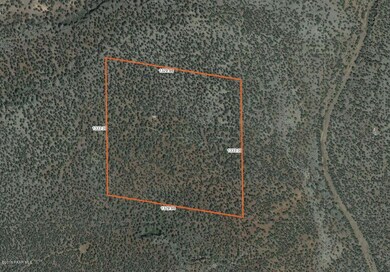 000 S of Rattlesnake Rd, Ash Fork, AZ 86320 - photo 5