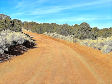 Butcher Rd, Fort Garland, CO 81133 - photo 2