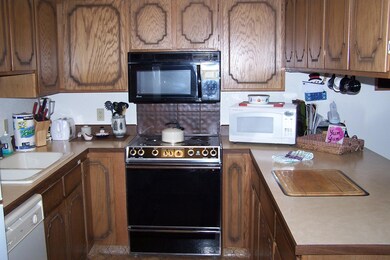 226 Pine Tree Way unit Pinetree unit 1C, Brian Head, UT 84719 - photo 6