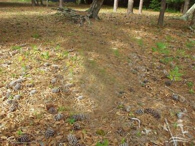 0 Devaun Park Blvd, Calabash, NC 28467 - photo 4