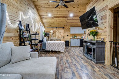 211 Young St, Johnson City, TN 37601 - photo 2