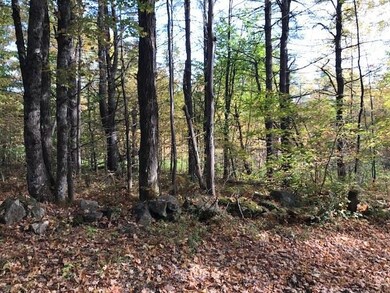 00 Crane Hill Rd, Sugar Hill, NH 03586 - photo 4