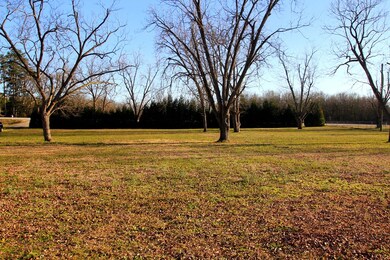 view of hedge