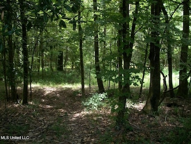Tbd Oldenburg Rd, Meadville, MS 39653 - photo 2