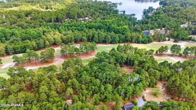 549 Lucas Rd Golf view aerial 1