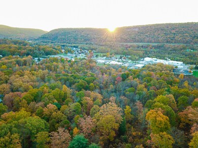 0 E Pleasant Valley Blvd unit LotWP001 19615403, Tyrone, PA 16686 - photo 2