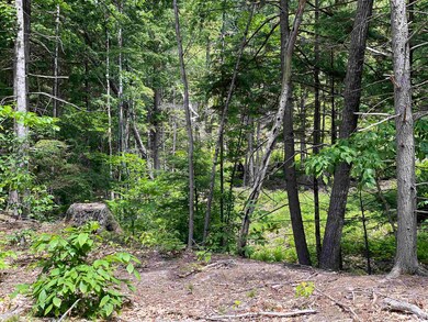 00 Jack Russell Rd unit 408-45-2, Effingham, NH 03882 - photo 2