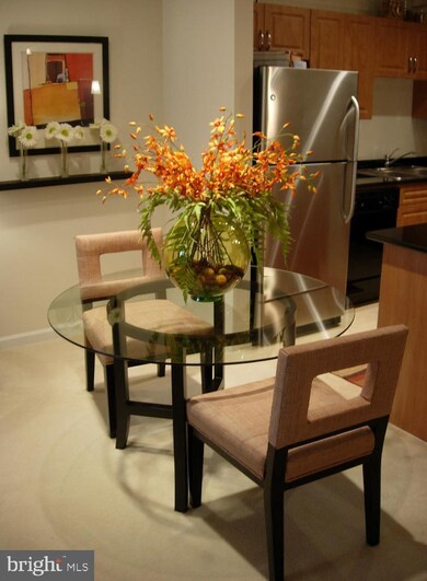 Bryson At Woodland Park unit 105, Herndon, VA 20171 - photo 6